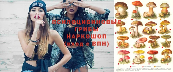 spice Бугульма