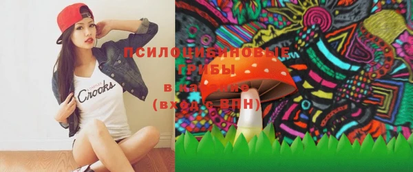 ешки Бронницы